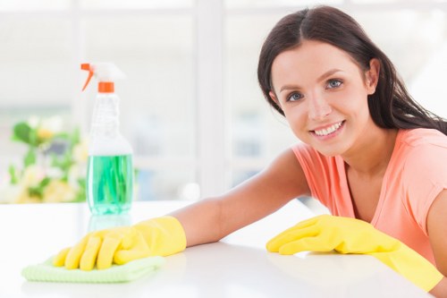 Heston Carpet Cleaners team introducing professional carpet care