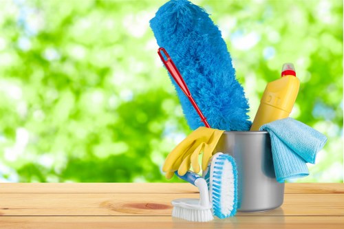 Professional pet stain odour removal in Heston for carpets
