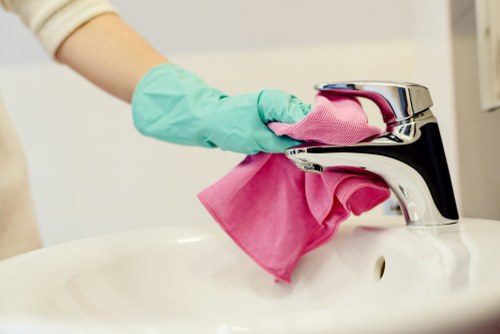 Deep cleaning process for pet accident odours in Heston