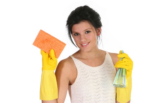 Encrypted checkout process for Heston Carpet Cleaners