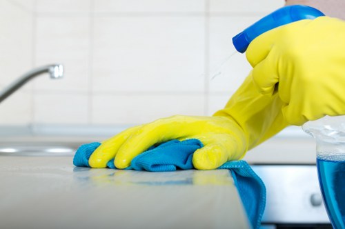 Professional carpet cleaning process showing deep fabric care