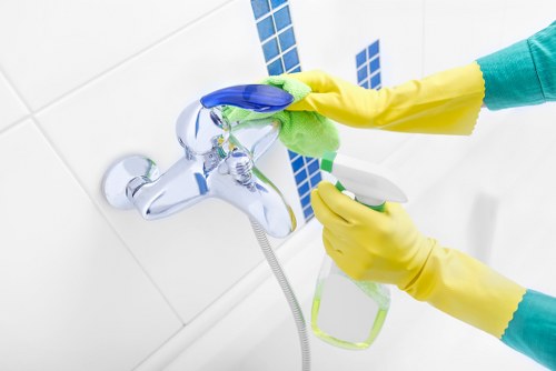 Carpet cleaning service with safe methods and customer property care