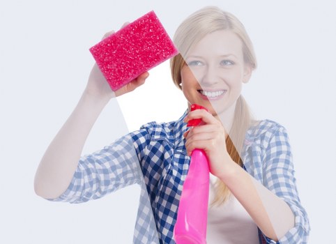 Professional cleaner reviewing a risk assessment in a home setting