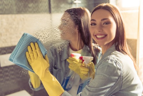 Professional steam carpet cleaning service in Heston